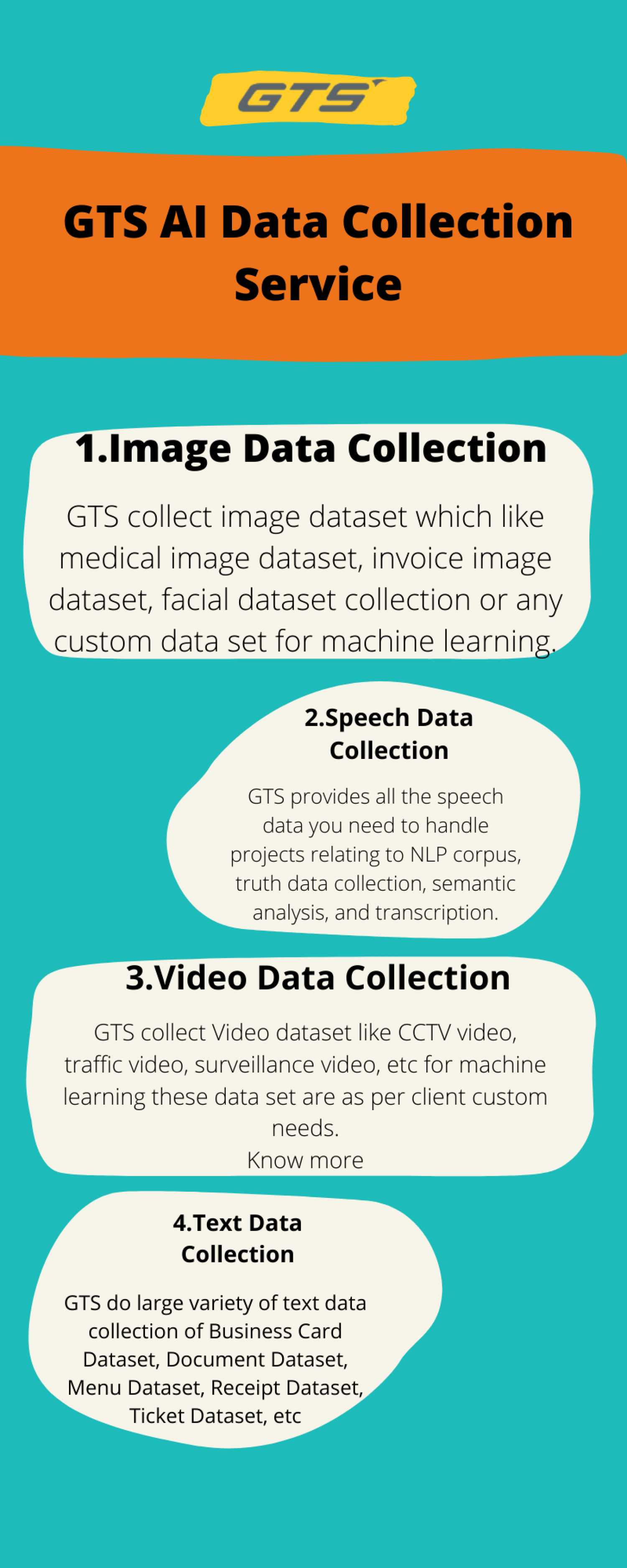 AI Data Collection Service  Infographic