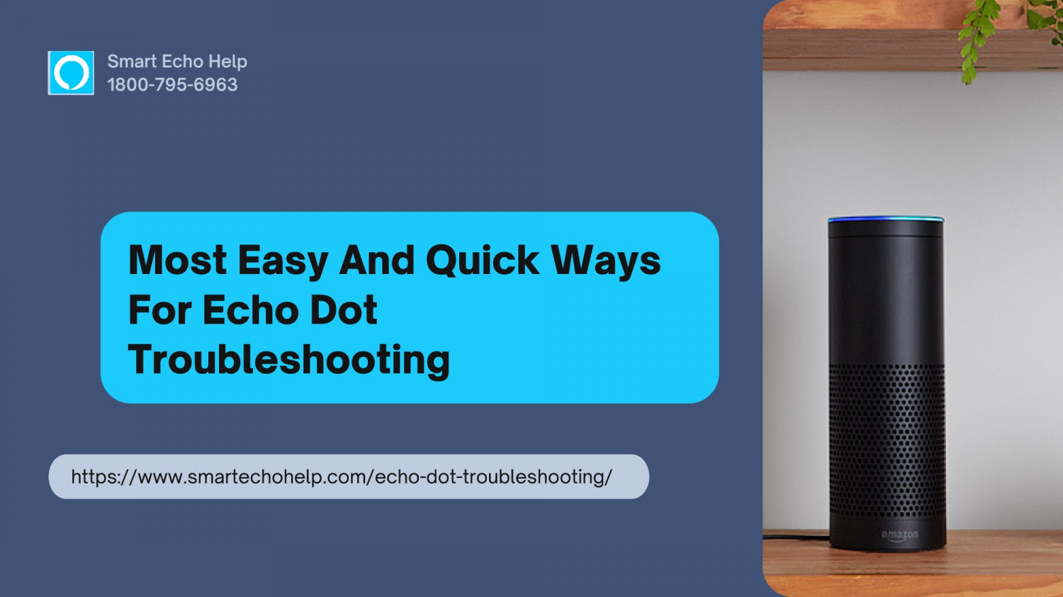 Alexa Not Working 1-8007956963 Get Instant Echo Dot Troubleshooting Help Infographic
