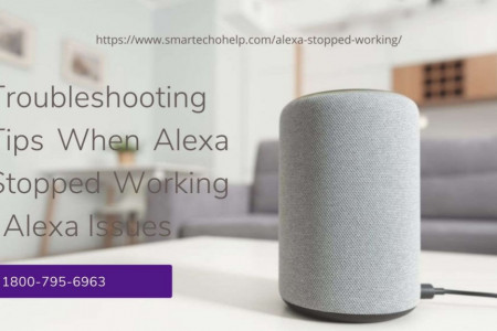 Alexa Stopped Working Resolve Now 1-8007956963 Follow The Tips & Tricks Now Infographic