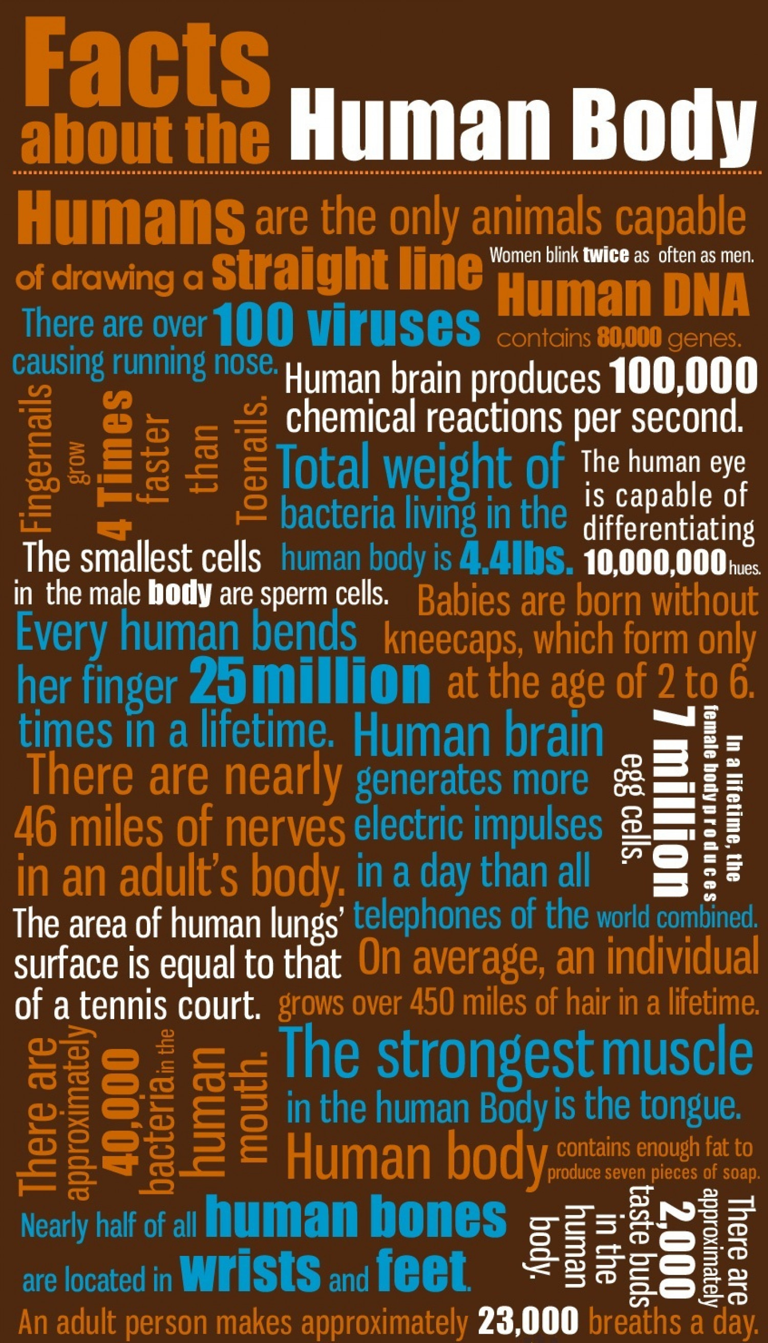 All About The Human Body Facts Infographic