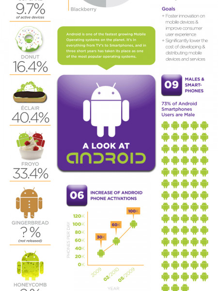 An Overview of Google Android  Infographic