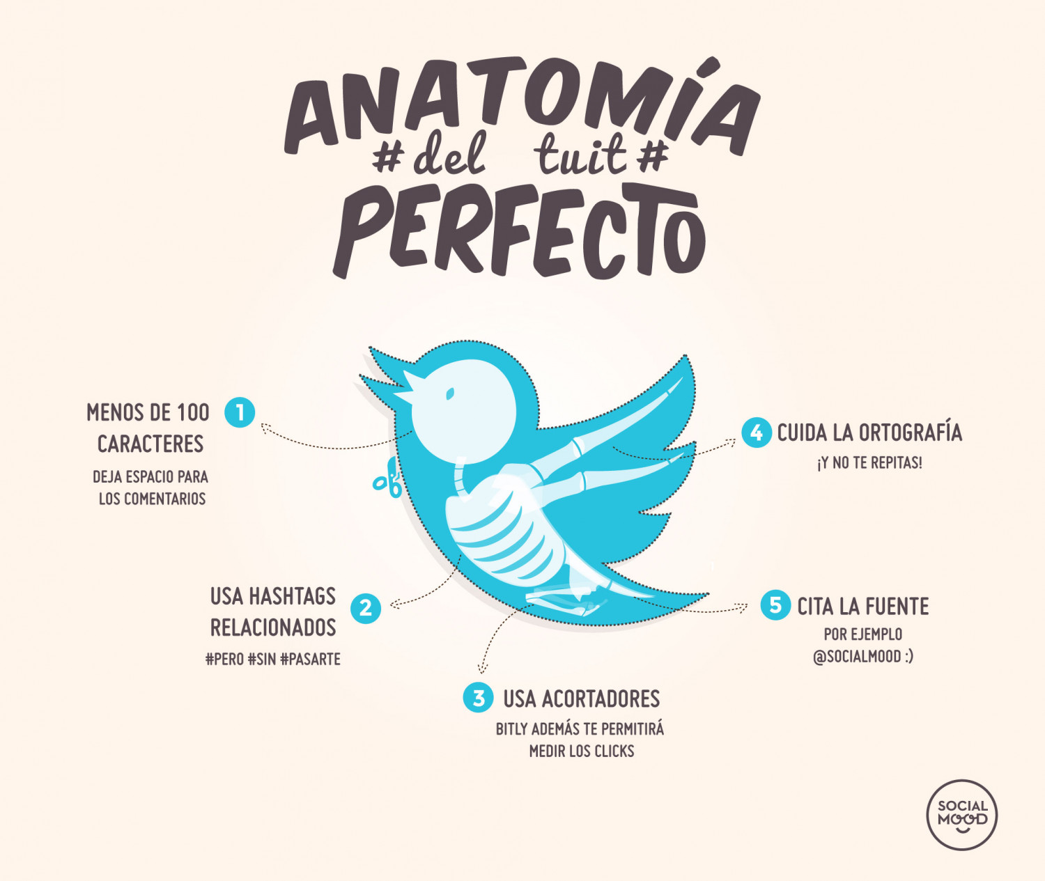 Anatomía del tuit perfecto Infographic