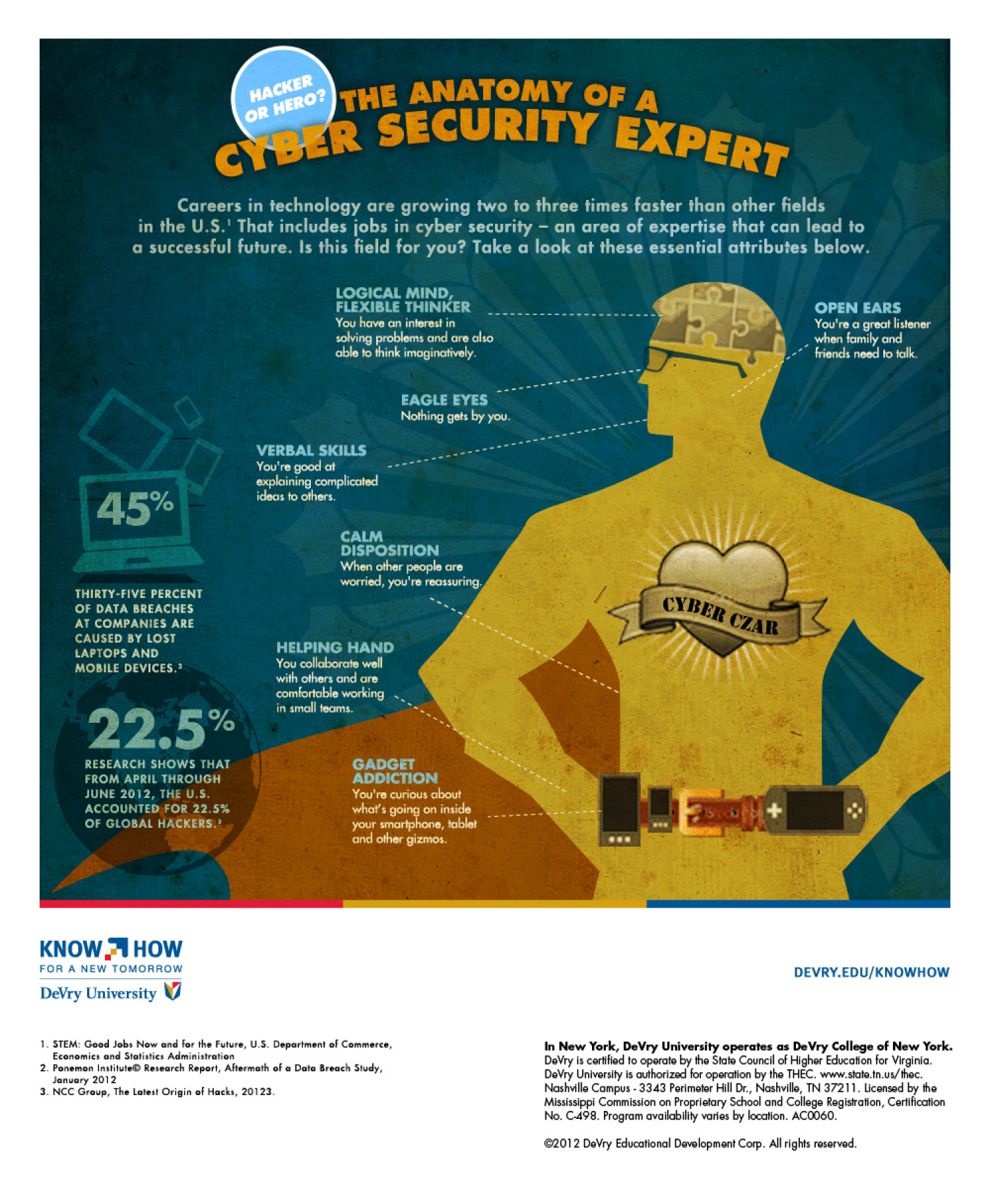 Anatomy of a Cyber Security Expert Infographic