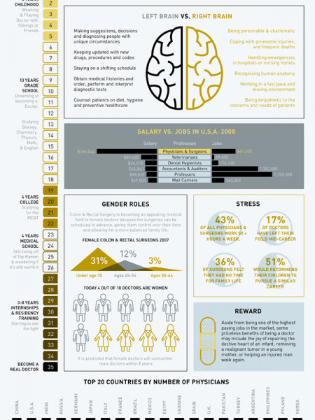 Anatomy of a Doctor Infographic