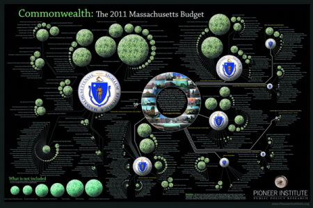 Anatomy of a State Budget Infographic