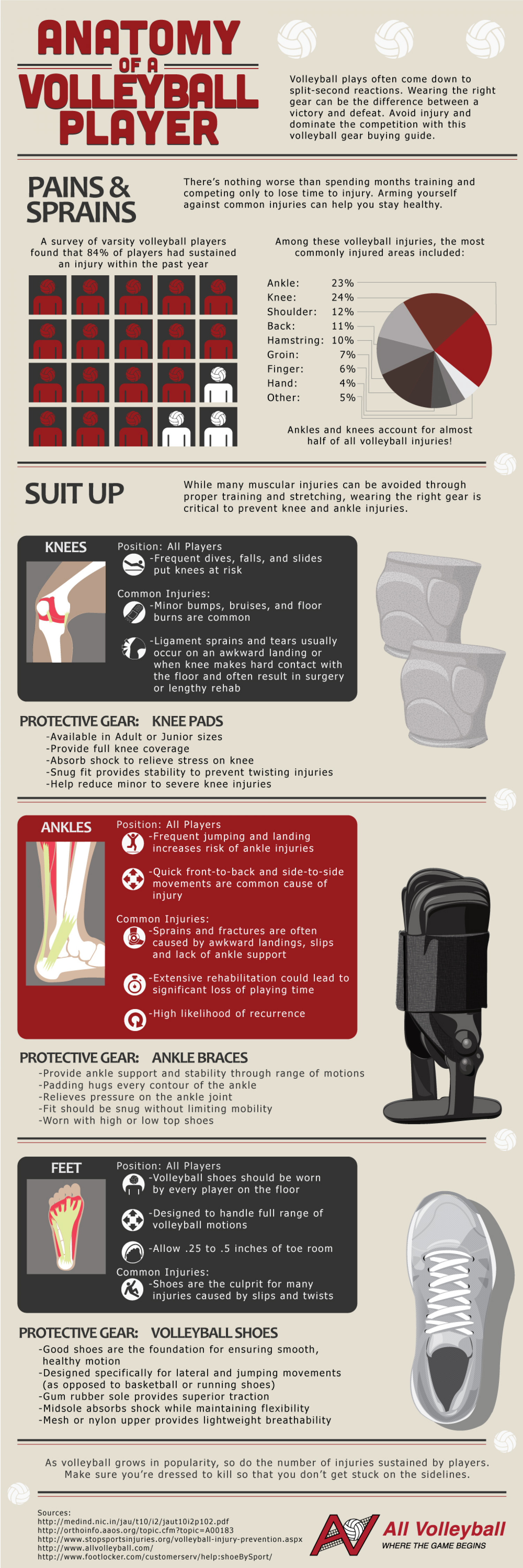 Anatomy of a Volleyball Player Infographic