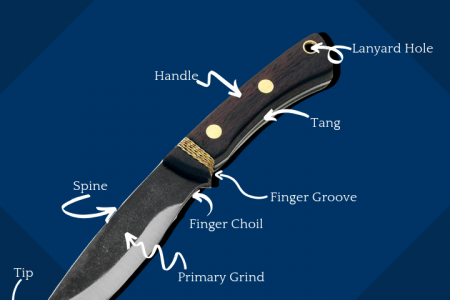 Anatomy of Fixed Blade Knives Infographic