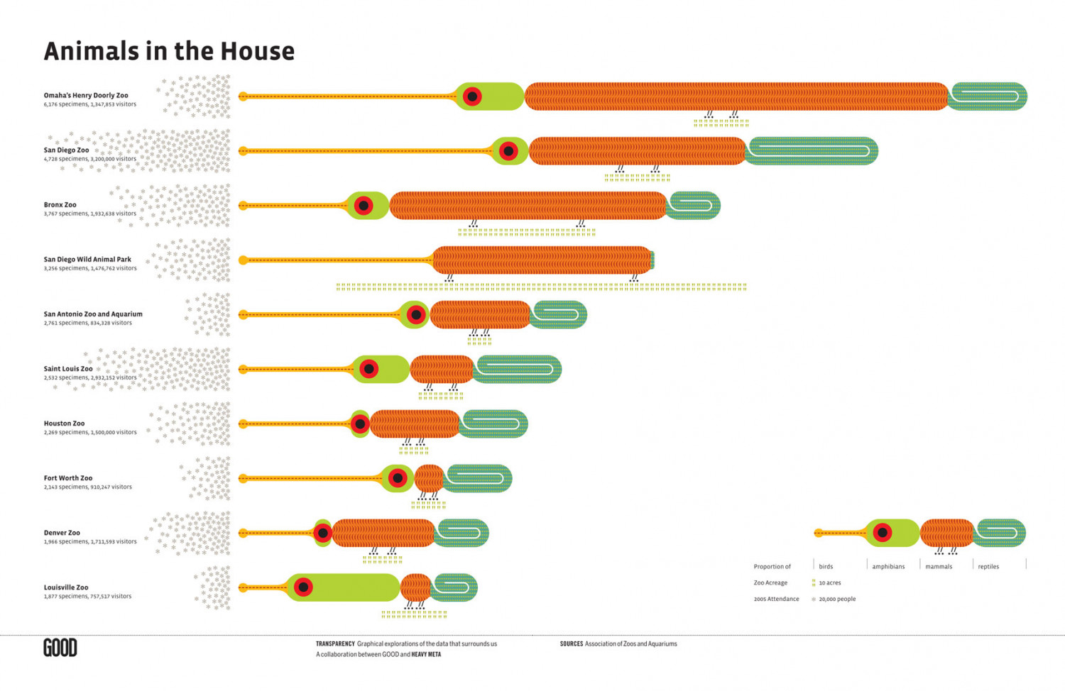 Animals in the House Infographic