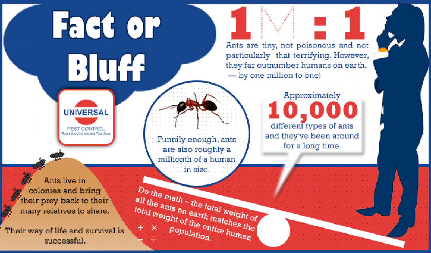 Ants: Fact or Bluff Infographic