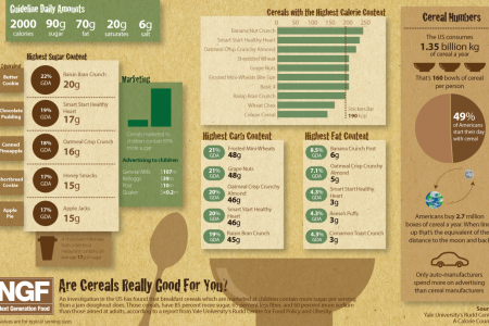 Are Cereals Really Good For You? Infographic