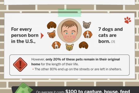 Are Pets Victims of the Recession? Infographic