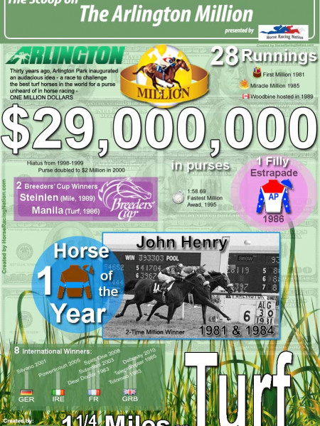 Arlington Million Fun Facts Infographic