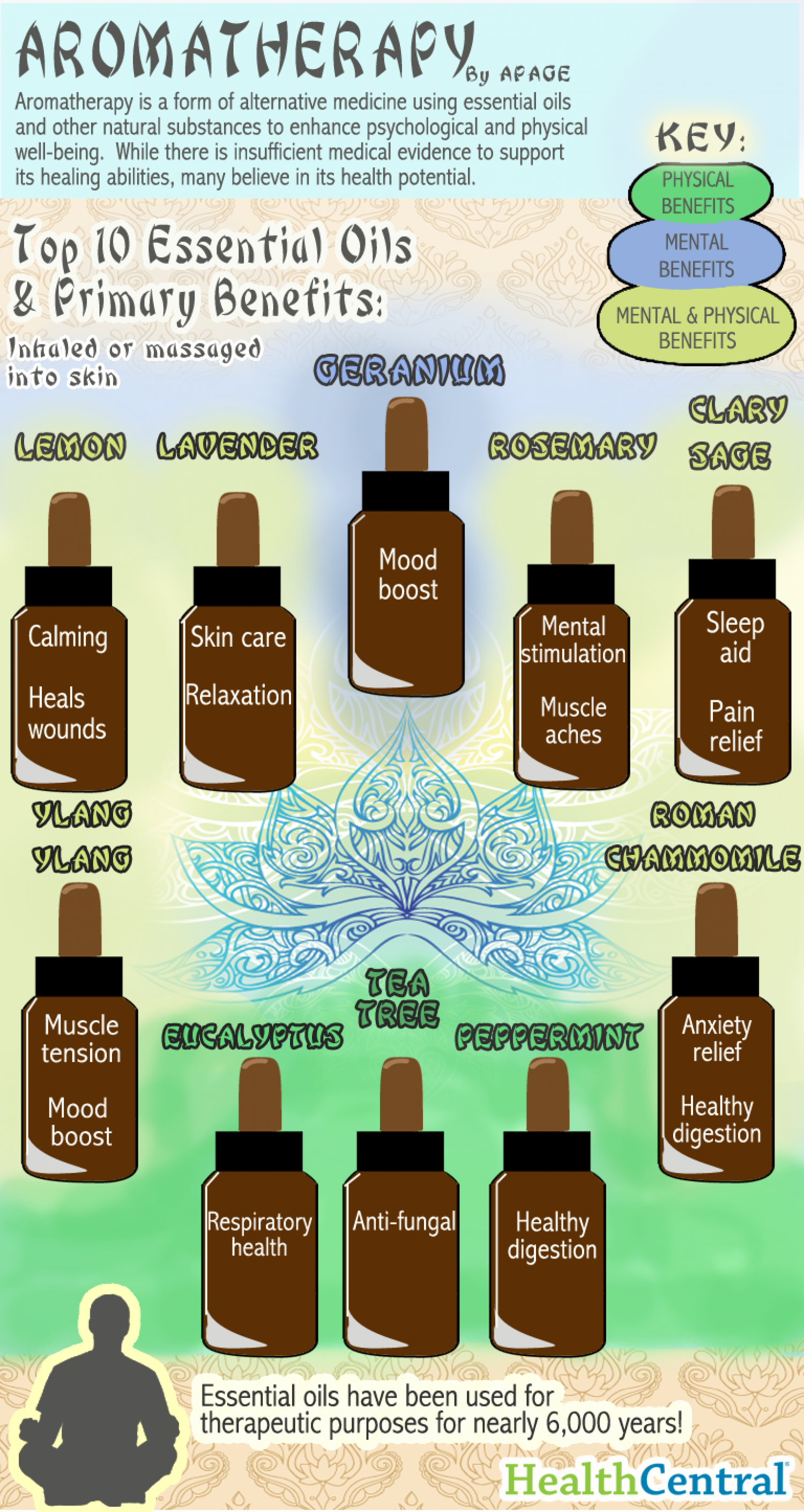 Aromatherapy Infographic Infographic