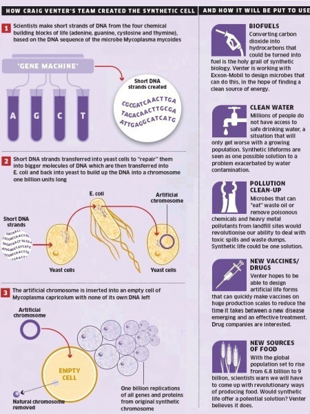 Artificial Life in Three Steps Infographic