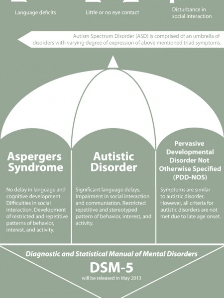 Autism Spectrum Disorder Infographic