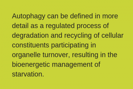 Autophagy pathway Infographic