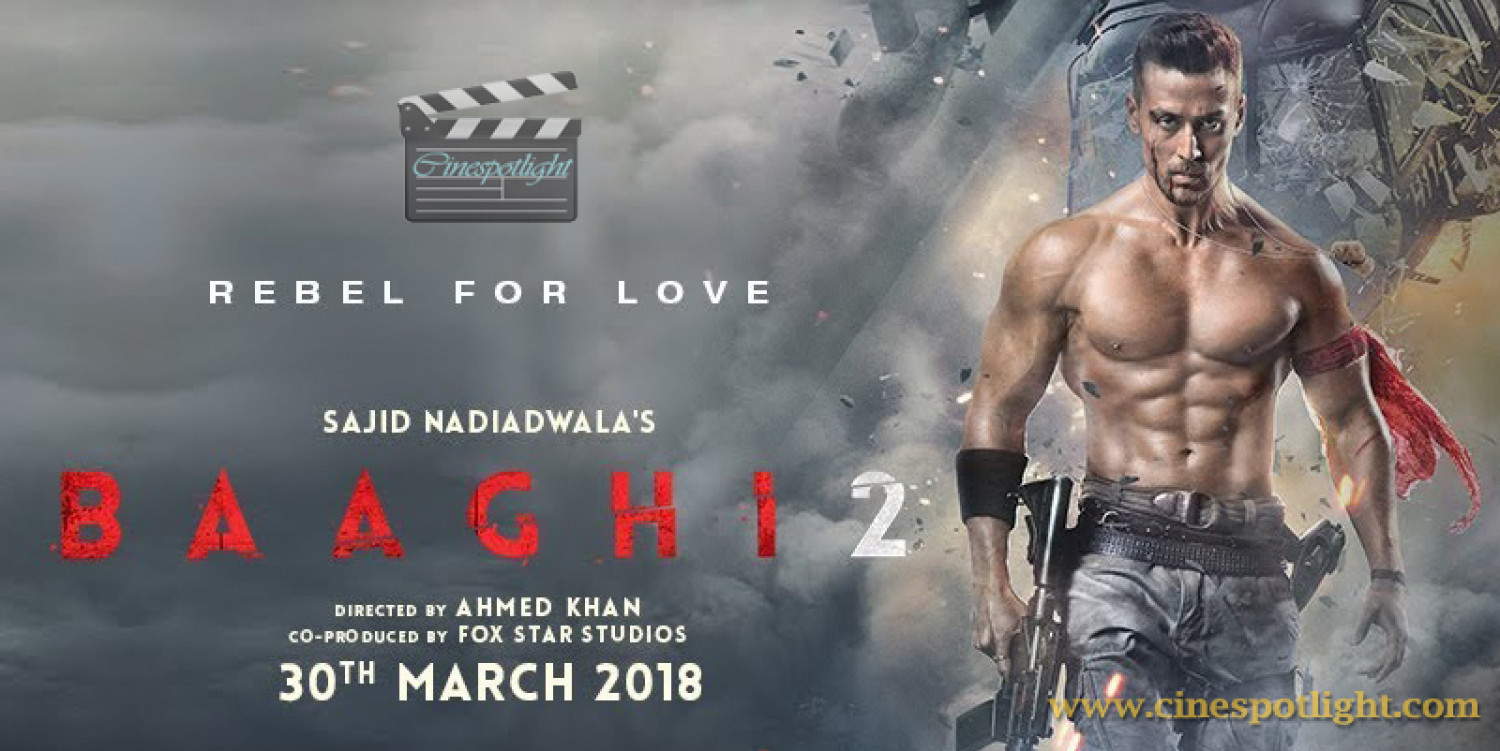 baaghi 2 hindi movie Infographic