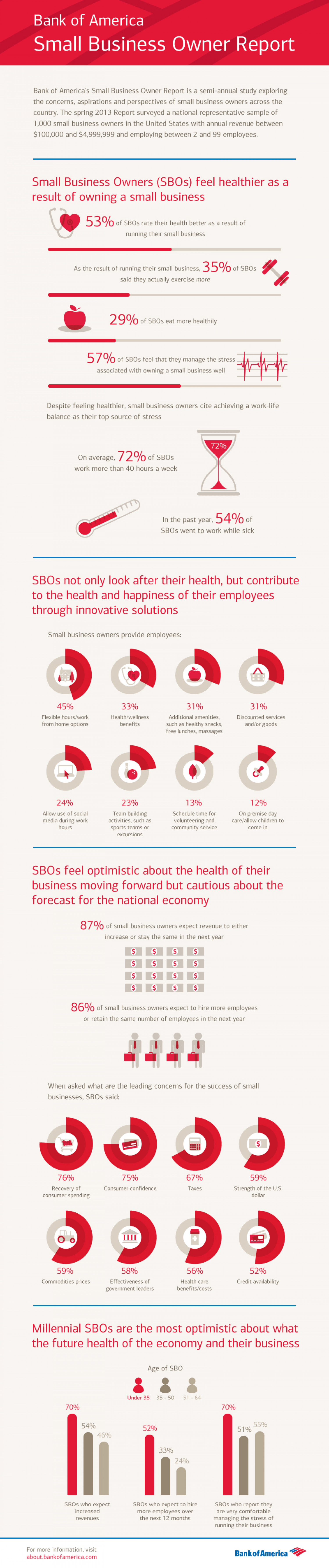 Bank of America Small Business Owner Report Spring 2013 Infographic