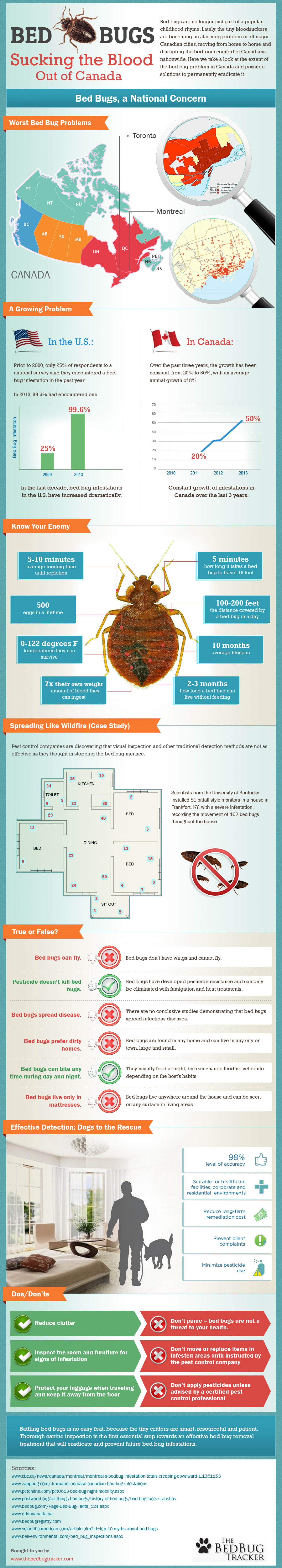 Bed Bugs, Sucking the Blood Out of Canada Infographic