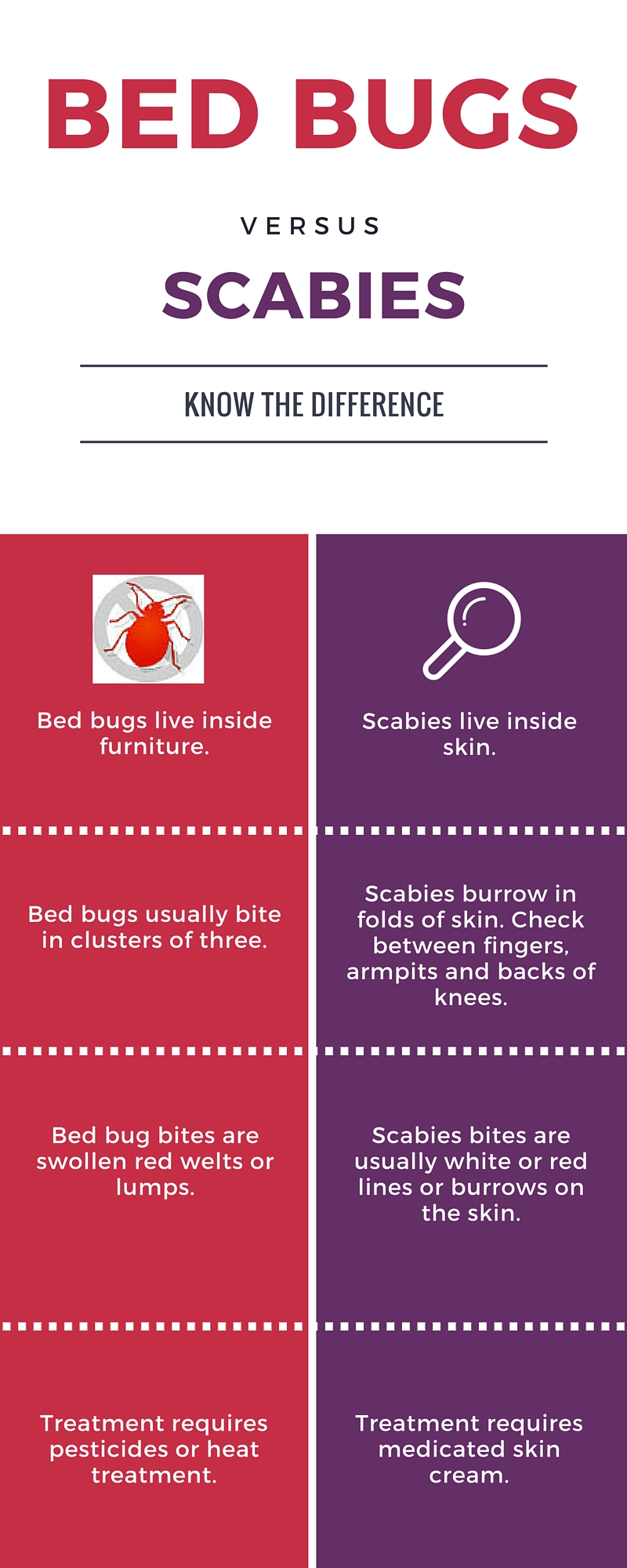 Scabies Vs Bed Bugs 6490