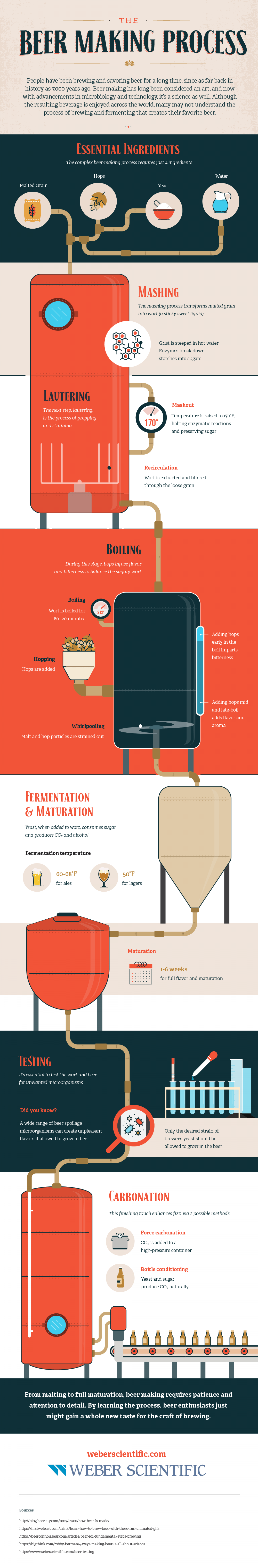 Beer Making Process Infographic