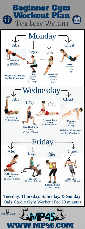 Beginner Gym Workout Plan For Lose Weight Visual.ly