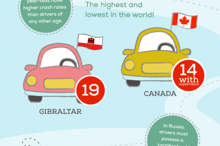 Behind The Wheel Infographic
