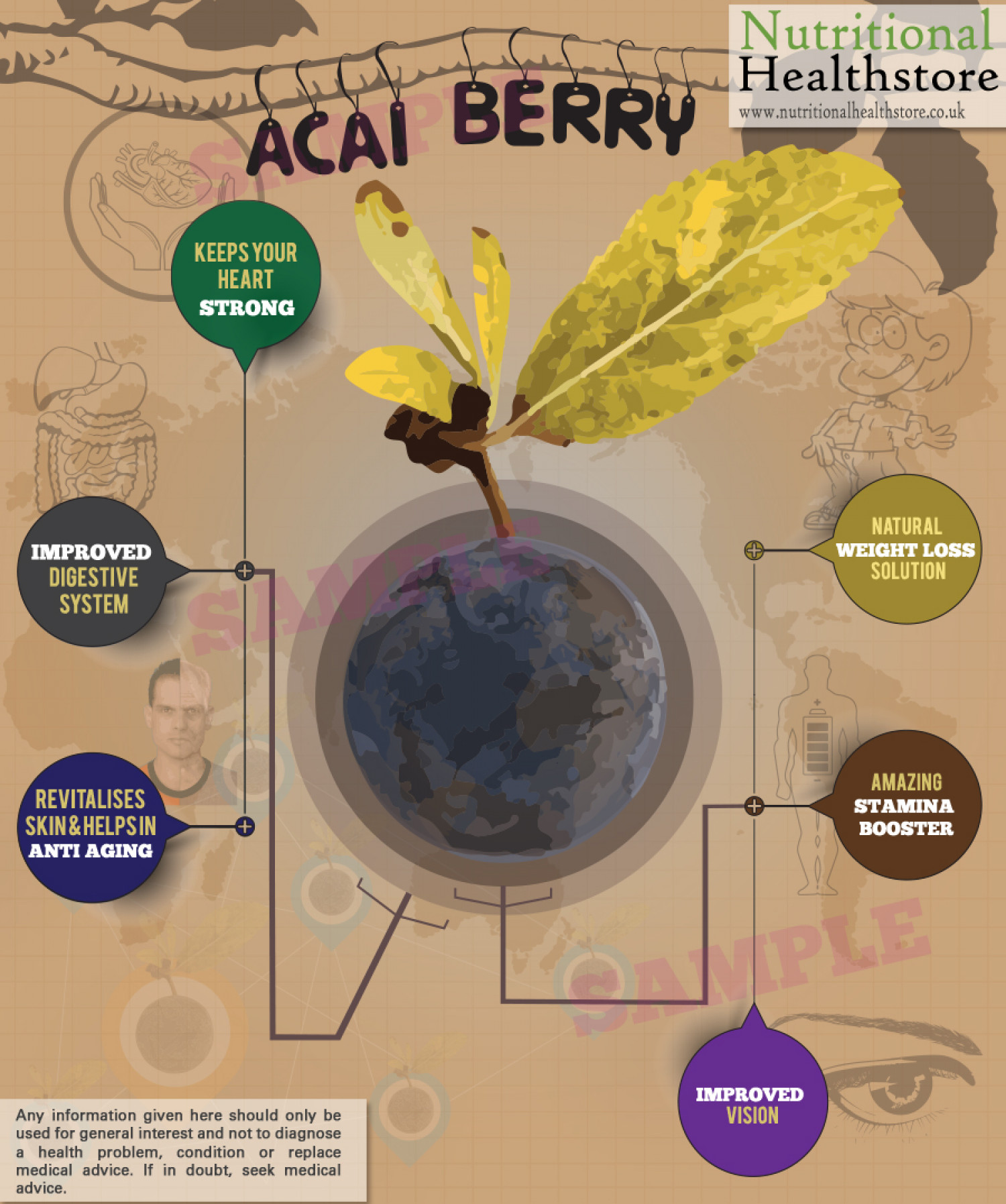 Benefits of Acia Berry Infographic