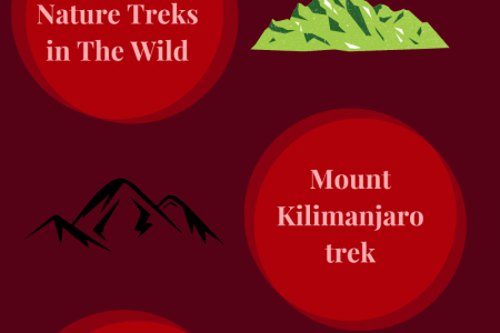 Best Honeymoon Safari – Must-See Africa Honeymoon Destinations Infographic