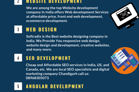 Best Mobile App Development Services Chandigarh | App Development Companies Mohali | Soft Radix Infographic