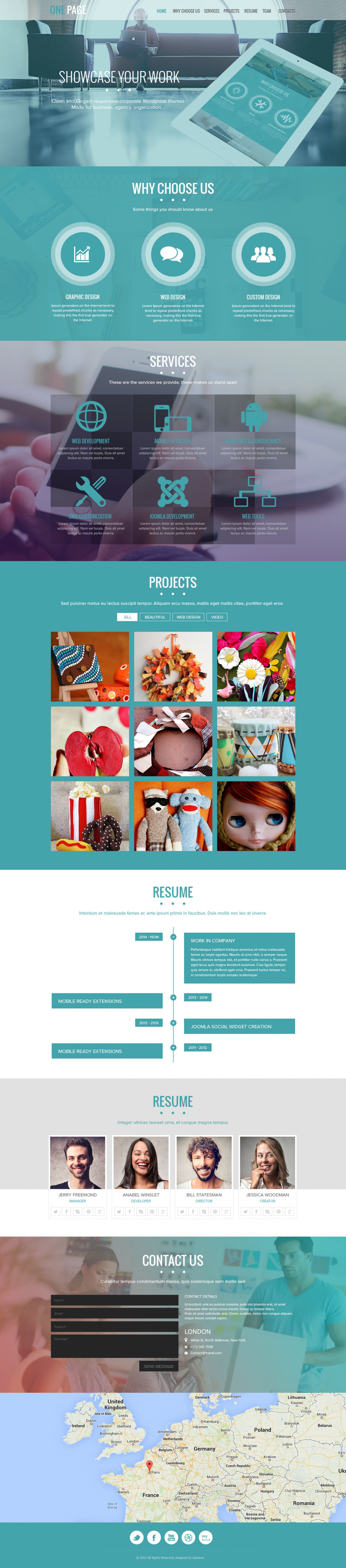 Best One Page WordPress Theme 2014 Infographic