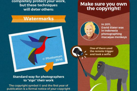 Best Photography Backdrops in Australia Infographic