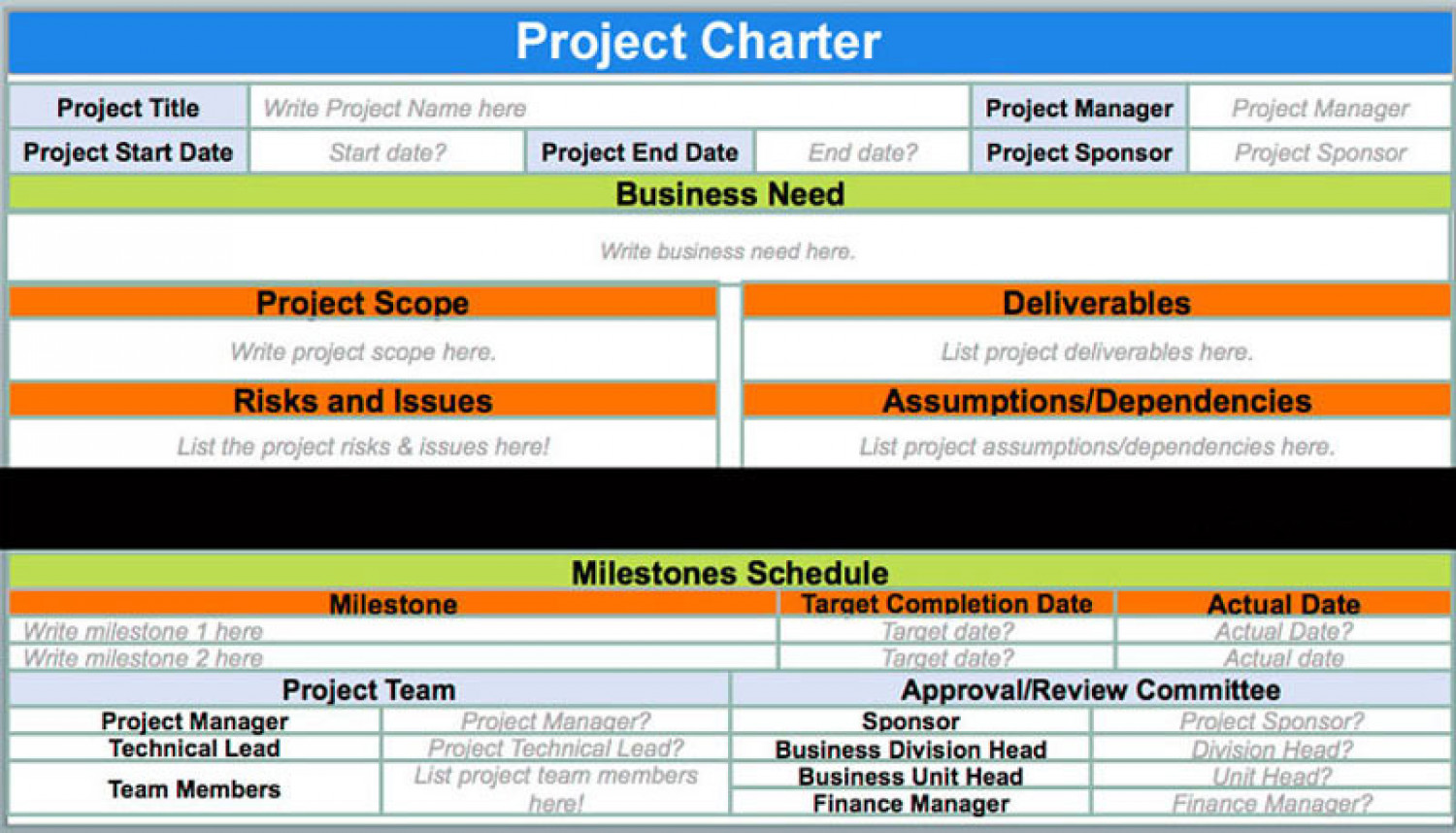 Best Project Charter Template PMBOK Infographic