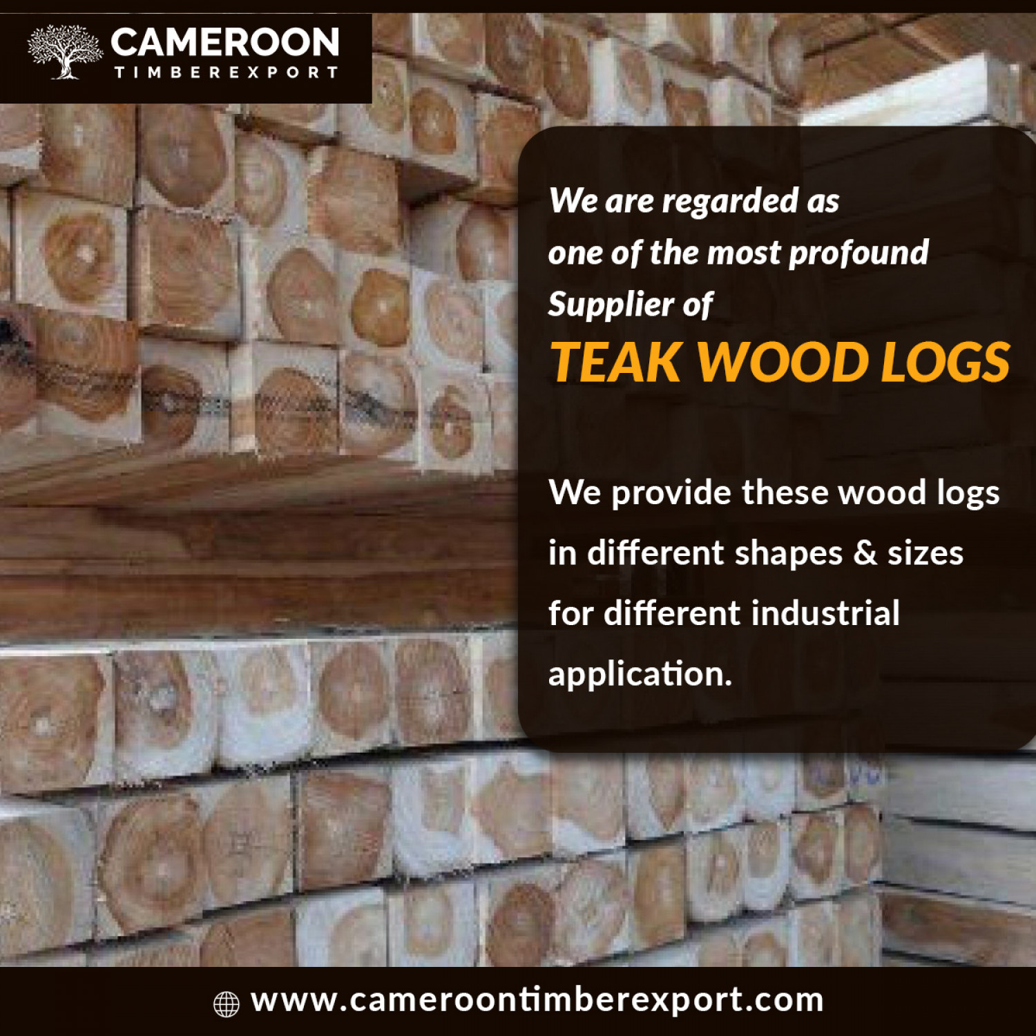 BEST QUALITY TEAK WOOD LOGS FOR SALE Infographic