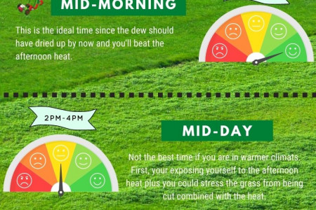 Best Time Of Day To Mow Your Lawn Infographic
