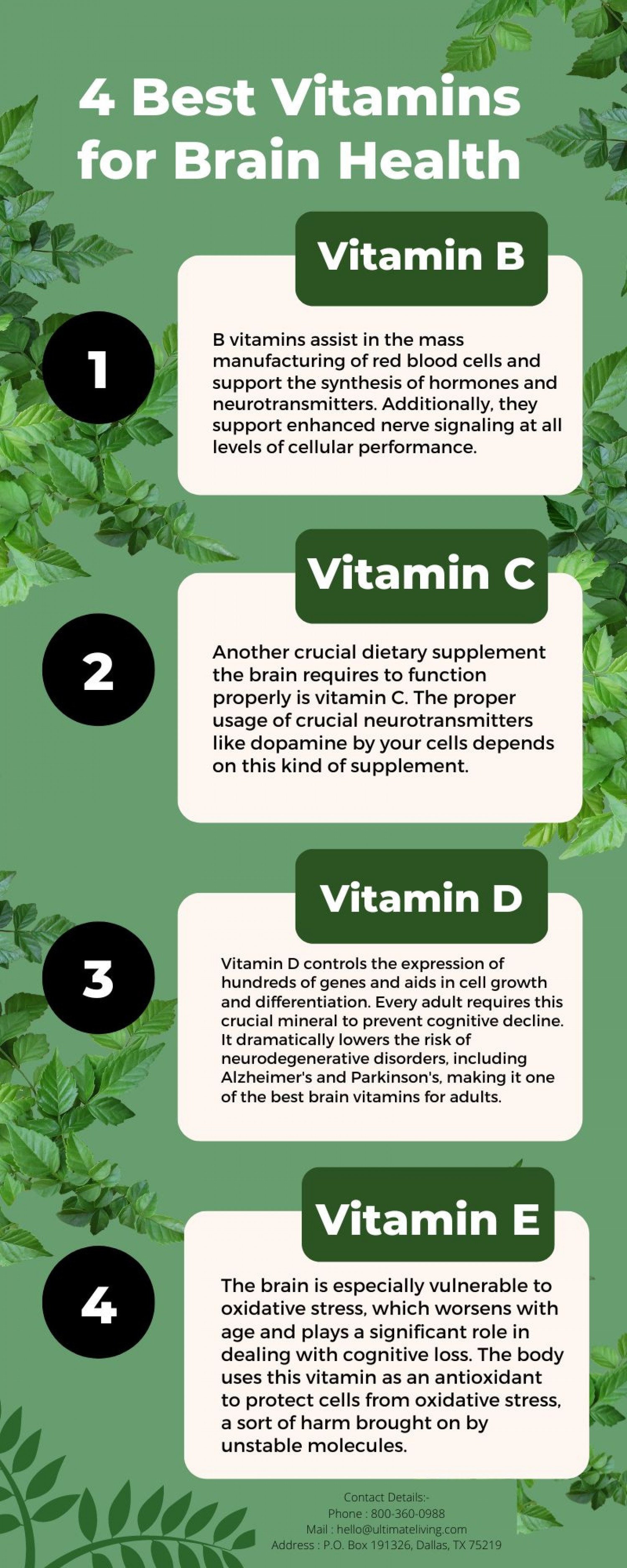 Best Vitamins for Brain Health Infographic