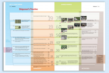 Biographical Timeline Infographic