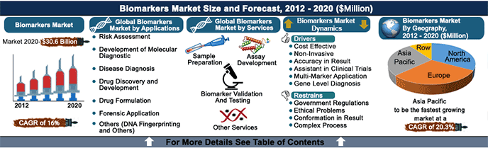 Biomarkers Market - Global Industry Analysis, Emerging Technologies, Competitive Intelligence, Growth Trends, Size, Share, Opportunities and Forecast (2013 - 2020) Infographic