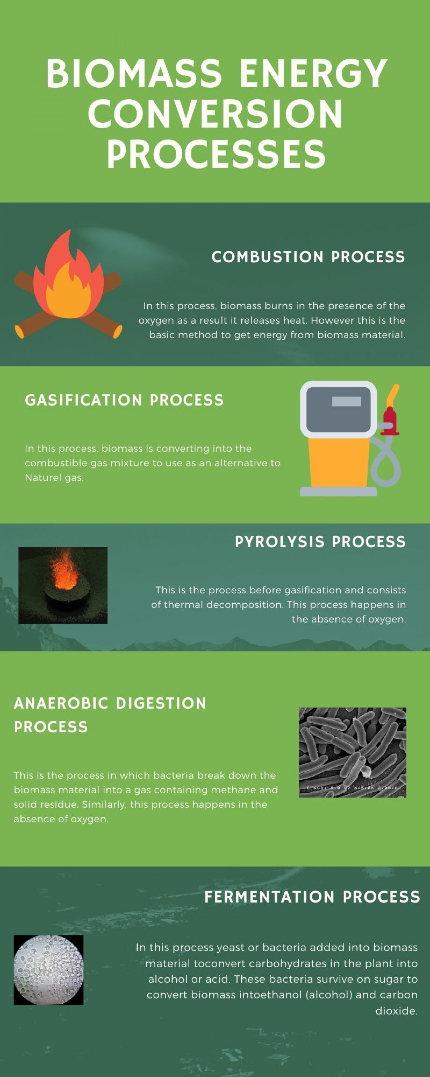 Biomass energy conversion processes Infographic