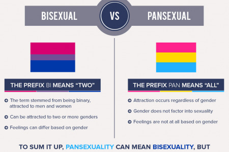 Bisexual VS Pansexual Infographic