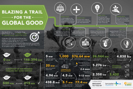 Blazing a Trail for the Global Good Infographic