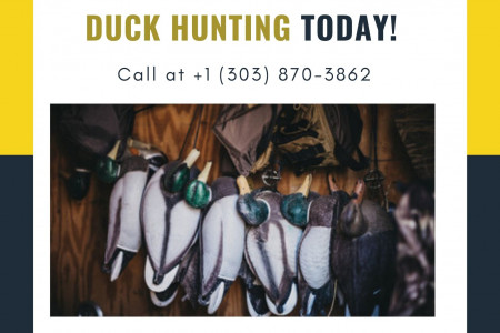 Book the Colorado Duck Hunting Today! Infographic