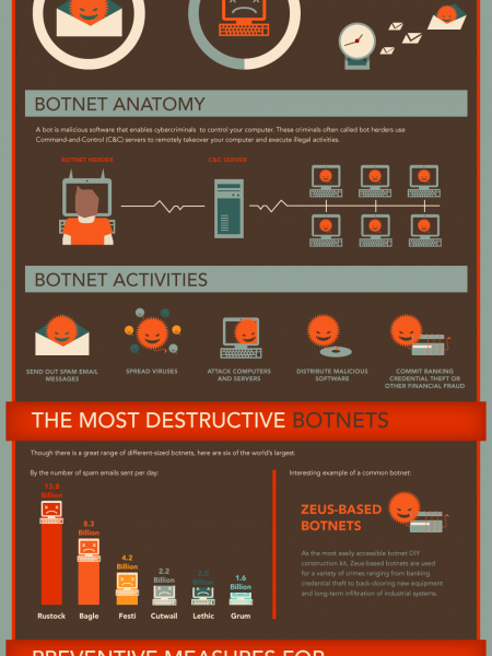 Botnets: The Stealthy Online Threat Infographic