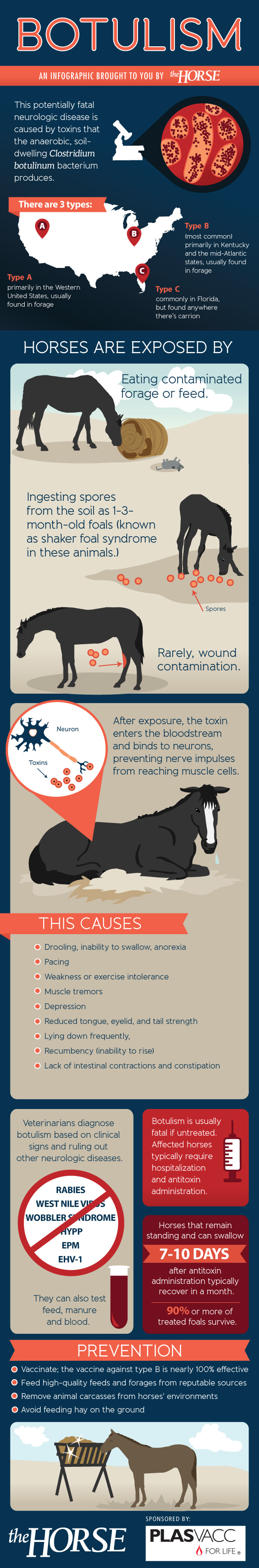 Botulism in Horses | Visual.ly