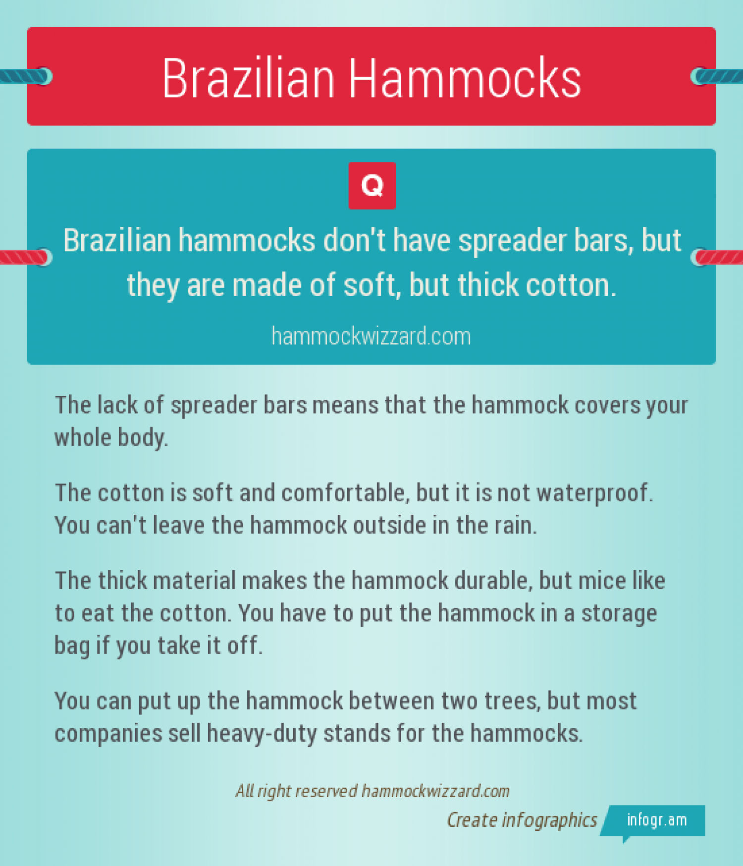 Brazilian Hammocks Infographic
