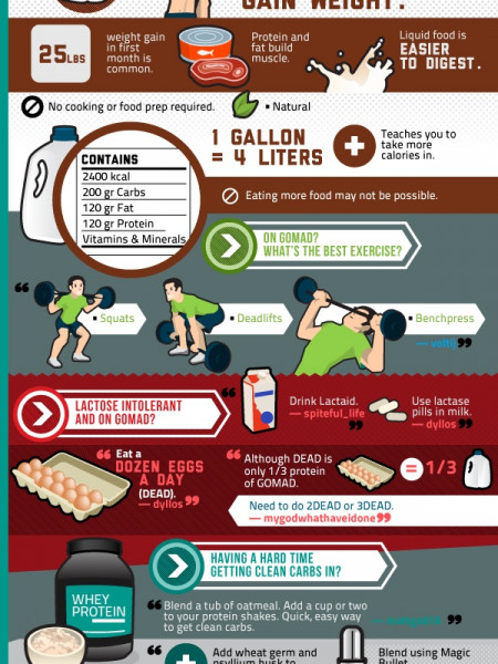 Bro Science: Reddit's Guide to Fitness  Infographic