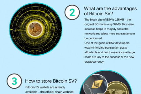 BSV Infographic