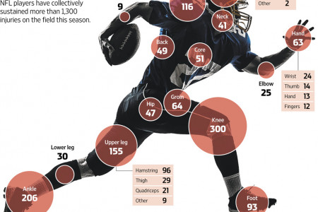 Bumps, Bruises and Breaks Infographic