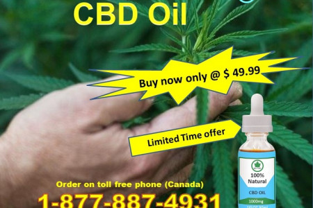 Buy CBD Oil 1000 mg With Heavy Discount in Canada Infographic