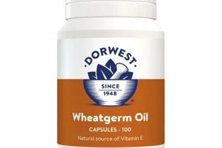 Buy Dorwest Wheatgerm Oil Capsules for Dogs and Cats with FREE Shipping  Infographic